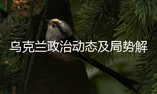 乌克兰政治动态及局势解析，泽连斯基的去留与其未来发展挑战分析