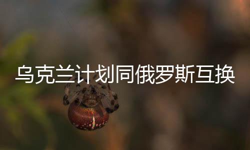 乌克兰计划同俄罗斯互换部分领土，地缘政治的新动态