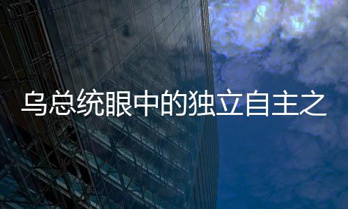 乌总统眼中的独立自主之路，美国靠不住，欧洲要靠自己
