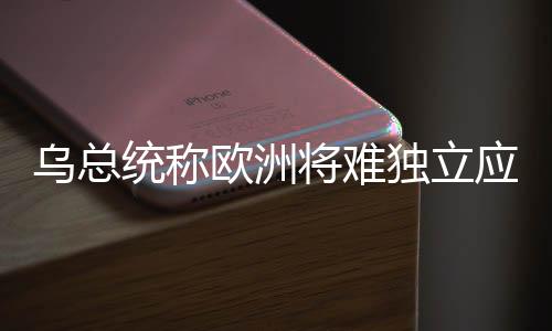 乌总统称欧洲将难独立应对俄军，彰显乌欧安全共同体的重要角色