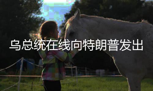乌总统在线向特朗普发出呼声，请求一通电话的联系
