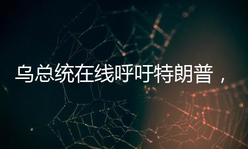 乌总统在线呼吁特朗普，一通电话的跨国期待