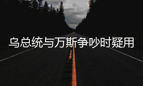 乌总统与万斯争吵时疑用俄语骂脏话，引发争议与反思的一刻