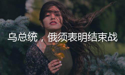 乌总统，俄须表明结束战争还是继续向前推进的态度