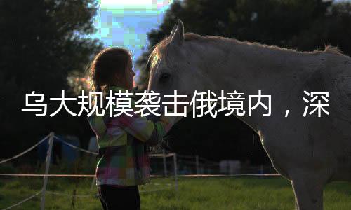 乌大规模袭击俄境内，深度分析与解读