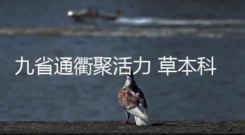 九省通衢聚活力 草本科技映未来丨毛铺草本中国行第二季圆满收官