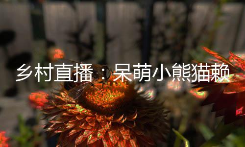 乡村直播：呆萌小熊猫赖上我