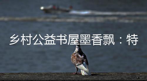乡村公益书屋墨香飘：特派员把文化“种”在乡村