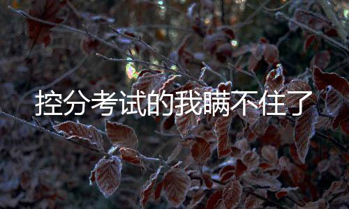 控分考试的我瞒不住了