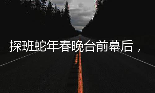 探班蛇年春晚台前幕后，揭秘春晚背后的故事