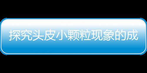 探究头皮小颗粒现象的成因及解决策略