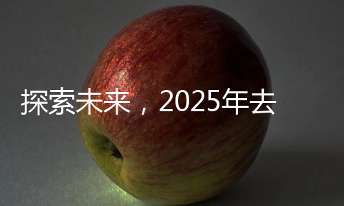 探索未来，2025年去哪玩？文旅消费圈粉全球