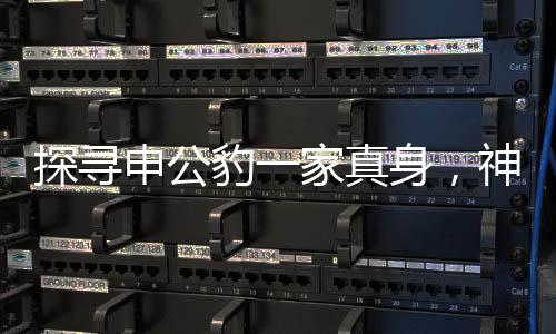 探寻申公豹一家真身，神秘动物身份之谜