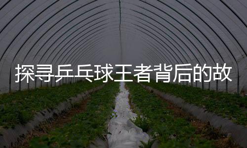 探寻乒乓球王者背后的故事，记者提问业余问题引发马龙深度思考