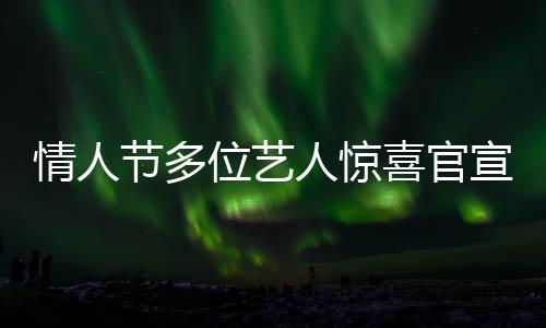 情人节多位艺人惊喜官宣结婚，恩爱暴击粉丝及网友