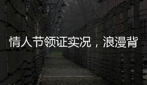 情人节领证实况，浪漫背后的忙碌与期待