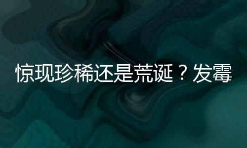 惊现珍稀还是荒诞？发霉橘子在二手平台身价飙升至近六百元