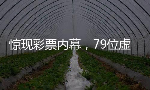 惊现彩票内幕，79位虚构人物命名获奖引发舆论热潮