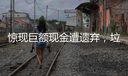 惊现巨额现金遭遗弃，垃圾堆中意外发现十万现金的秘密