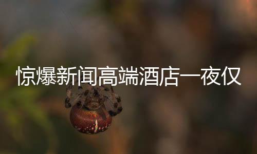 惊爆新闻高端酒店一夜仅需24.99元！难以置信的优惠引发抢购热潮
