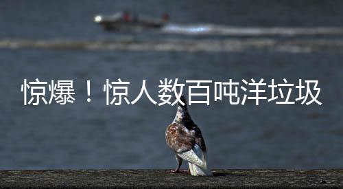 惊爆！惊人数百吨洋垃圾遭查扣，执法行动揭秘背后的垃圾走私链
