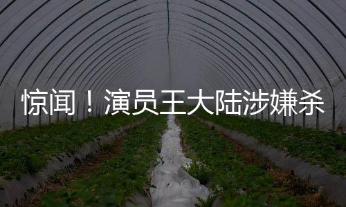 惊闻！演员王大陆涉嫌杀人未遂遭逮捕，引发社会关注