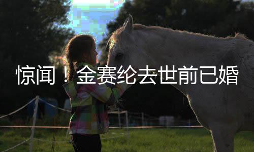 惊闻！金赛纶去世前已婚——深度解析其生平与离世影响