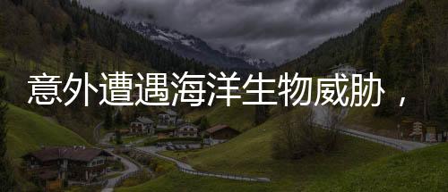 意外遭遇海洋生物威胁，男子被螃蟹夹手紧急求助消防队