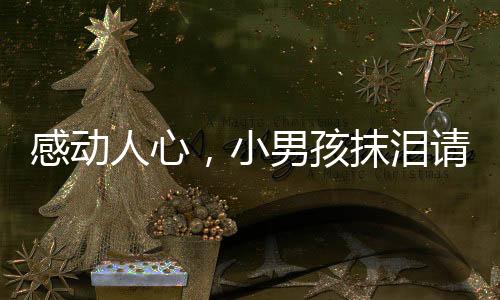 感动人心，小男孩抹泪请求为用餐老人免单的故事