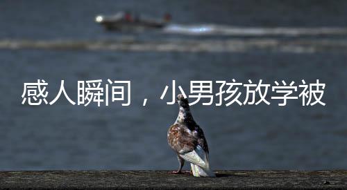 感人瞬间，小男孩放学被爸爸拥抱后的真情流露