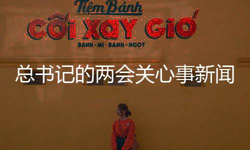 总书记的两会关心事新闻稿