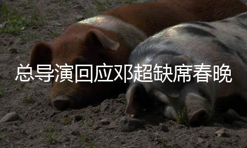 总导演回应邓超缺席春晚，原因揭秘与未来展望