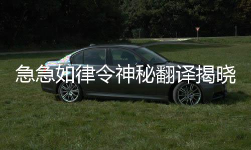 急急如律令神秘翻译揭晓，引人瞩目