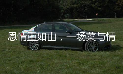 恩情重如山，一场菜与情感的奇妙邂逅