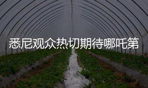 悉尼观众热切期待哪吒第三部，催更热潮掀起
