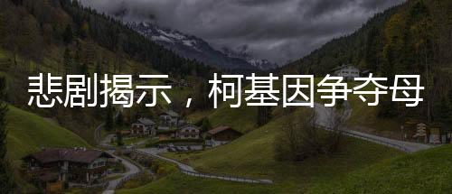 悲剧揭示，柯基因争夺母狗而大打出手，意外失利导致不幸身亡