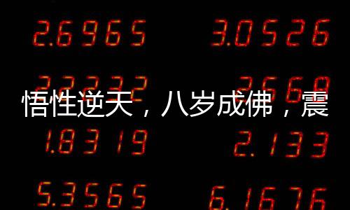 悟性逆天，八岁成佛，震惊方丈！