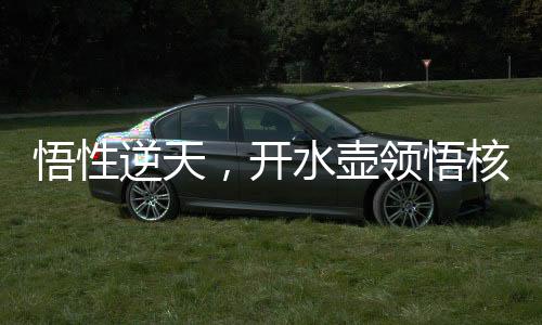 悟性逆天，开水壶领悟核聚变！