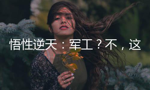 悟性逆天：军工？不，这只是民用