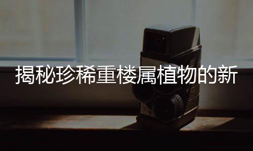 揭秘珍稀重楼属植物的新发现，展现大自然神秘魅力的一二三四五六七八九十