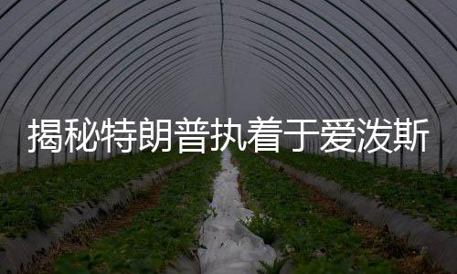 揭秘特朗普执着于爱泼斯坦案的背后原因