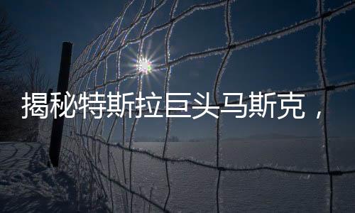 揭秘特斯拉巨头马斯克，资金来源巨额资金流向成谜