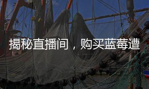 揭秘直播间，购买蓝莓遭遇特殊定制？买八盒到手每盒仅五颗蓝莓的背后真相