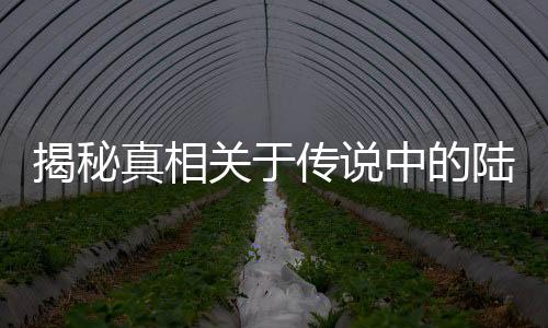 揭秘真相关于传说中的陆游器，一场科技与文化的探索之旅