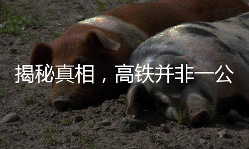 揭秘真相，高铁并非一公里耗一万度电，破除误导传言！