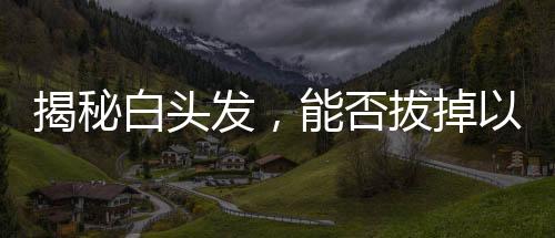 揭秘白头发，能否拔掉以及拔白的考量因素