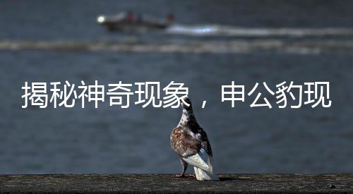 揭秘神奇现象，申公豹现身于盘中之谜