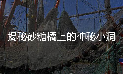 揭秘砂糖橘上的神秘小洞，原因与探寻