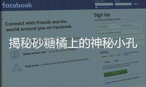 揭秘砂糖橘上的神秘小孔，背后的真相令人着迷