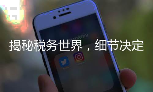 揭秘税务世界，细节决定退税与补税的命运